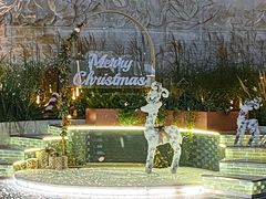 -紫荆广场·花漫里