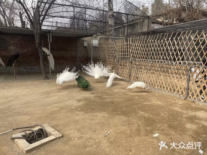 保定市动物园图片