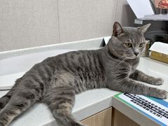 -瑞鹏宠物医院·骨科·猫科·内科(第一中心)