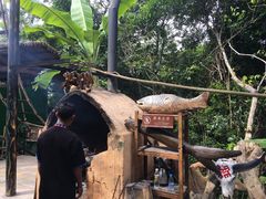 -海南槟榔谷黎苗文化旅游区