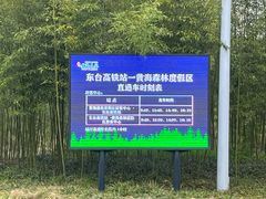 -黄海国家森林公园