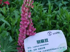 -国家植物园