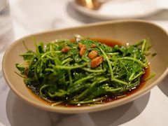 -MR鹅外