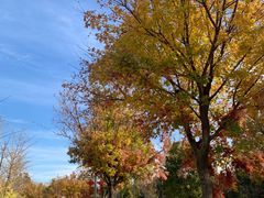 -北京园博大酒店