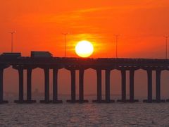 -宝安西湾红树林湿地公园