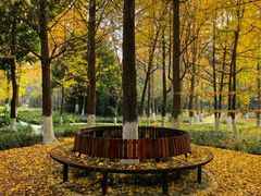 -成都中医药大学(温江校区)