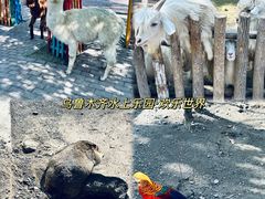 -水上乐园·欢乐世界