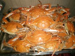 -三乐海鲜水饺馆