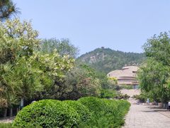 -府君山公园