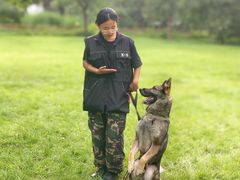 -北京京卫宠物寄养训练中心