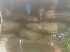 -海口观澜湖火山温泉谷