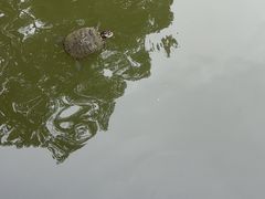 -丝绸小镇荻港古村
