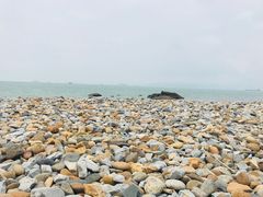 -黄金海岸环岛路