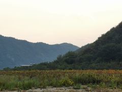 -白河湾生态旅游一条川