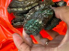 -鱼市酒店(威海水产批发市场店)