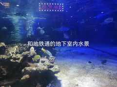 -凯德广场(学府店)