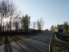 -东郊湿地公园