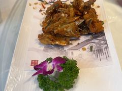 -陶缘一号·四季缘·老字号顺德菜·户外婚礼家宴(西滘店)