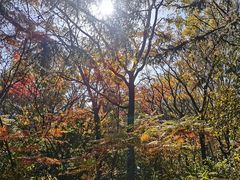 -长春市南湖公园