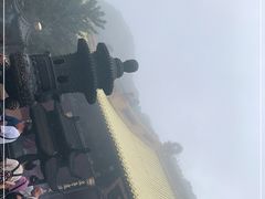 -普陀山风景区-佛顶山