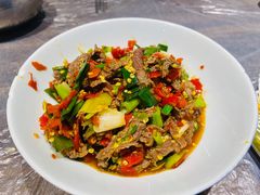-壹盏灯(惠农店)