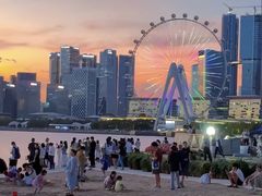 -宝安西湾红树林湿地公园