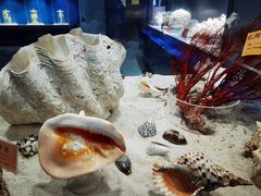 -福州罗源湾海洋世界旅游区