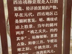 -桃花堤公园