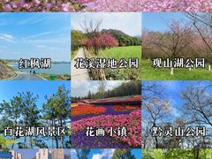-黔灵山公园