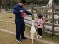 -前小桔亲子创意农场·草莓采摘·露营烧烤