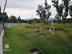 -琅岐红光湖公园