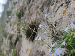 -白草畔自然风景区