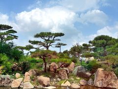 -罗红摄影艺术馆