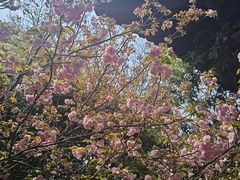 -南京市江宁方山