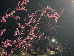 -抱犊寨风景区