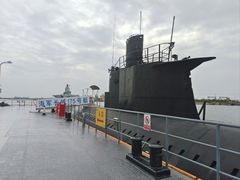 -泰达航母主题公园