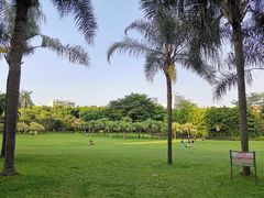 -东风公园