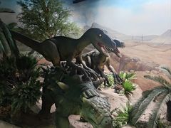 -国家自然博物馆