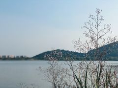 -西山漾湿地公园