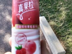 -五缘湾湿地公园