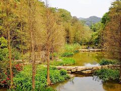 -云溪植物园