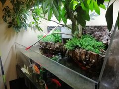 -三石铁板烧(紫竹桥店)