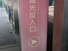 android_upload_pic-紫峰大厦