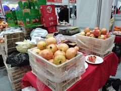 -郑州国际会展中心