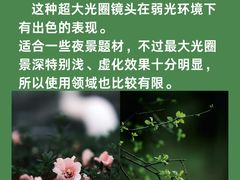 -CGWANG王氏教育(上海校区)