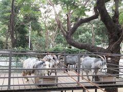 -深圳野生动物园