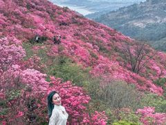 -木兰云雾山