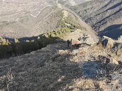 -妙峰山风景名胜区