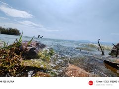 -呈贡滇池生态湿地公园