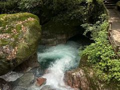 -西岭雪山大飞水景区